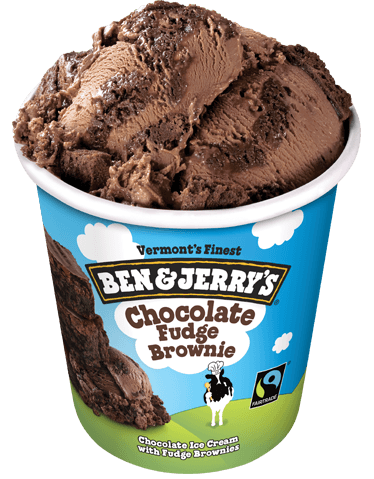 Ben & Jerry's Chocolate Fudge Brownie
